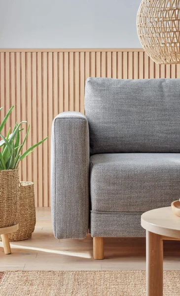 szara sofa Todos